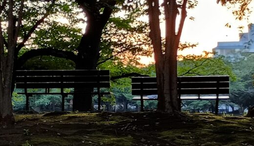 ベンチで、ひと息