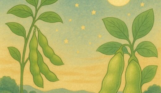 🍃枝豆のそら、空豆のほし　